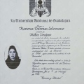 Ampliar imagen: certificate 7