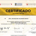 Ampliar imagen: certificate 1