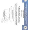 Ampliar imagen: certificate 3