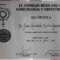 Ampliar imagen: certificate 3