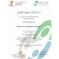 Ampliar imagen: certificate 7