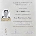 Ampliar imagen: certificate 3