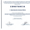 Ampliar imagen: certificate 8