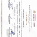 Ampliar imagen: certificate 3
