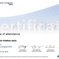 Ampliar imagen: certificate 10