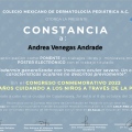Ampliar imagen: certificate 6