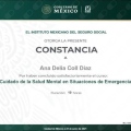 Ampliar imagen: certificate 9