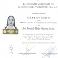 Ampliar imagen: certificate 2