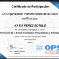 Ampliar imagen: certificate 2