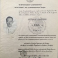 Ampliar imagen: certificate 1