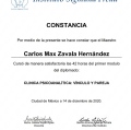 Ampliar imagen: certificate 7