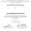 Ampliar imagen: certificate 9