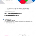 Ampliar imagen: certificate 6