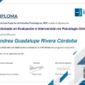 Ampliar imagen: certificate 3