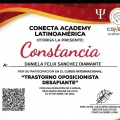 Ampliar imagen: certificate 9