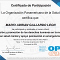 Ampliar imagen: certificate 6