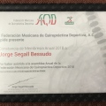 Ampliar imagen: certificate 15