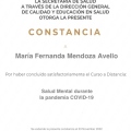 Ampliar imagen: certificate 11