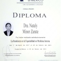 Ampliar imagen: certificate 8