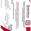 Ampliar imagen: certificate 11