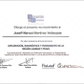 Ampliar imagen: certificate 6