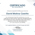 Ampliar imagen: certificate 5