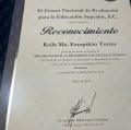 Ampliar imagen: certificate 12