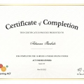 Ampliar imagen: certificate 1