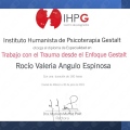 Ampliar imagen: certificate 6