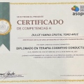 Ampliar imagen: certificate 5