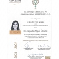 Ampliar imagen: certificate 1