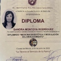 Ampliar imagen: certificate 5