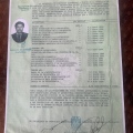 Ampliar imagen: certificate 6