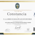 Ampliar imagen: certificate 6
