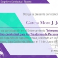 Ampliar imagen: certificate 3