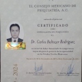 Ampliar imagen: certificate 1