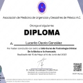 Ampliar imagen: certificate 26