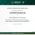 Ampliar imagen: certificate 6