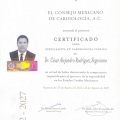 Ampliar imagen: certificate 6