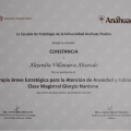 Ampliar imagen: certificate 3