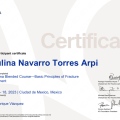 Ampliar imagen: certificate 1