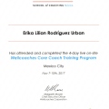 Ampliar imagen: certificate 3