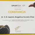 Ampliar imagen: certificate 1