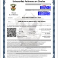 Ampliar imagen: certificate 4