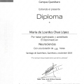 Ampliar imagen: certificate 9