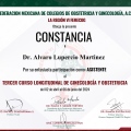 Ampliar imagen: certificate 24