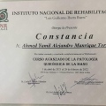 Ampliar imagen: certificate 4