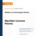 Ampliar imagen: certificate 3