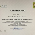 Ampliar imagen: certificate 2