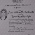 Ampliar imagen: certificate 2